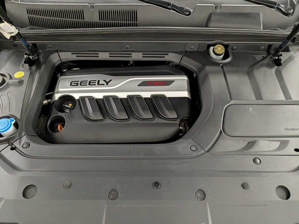 Б/У Джили Атлас 2019 года. Фото: #8